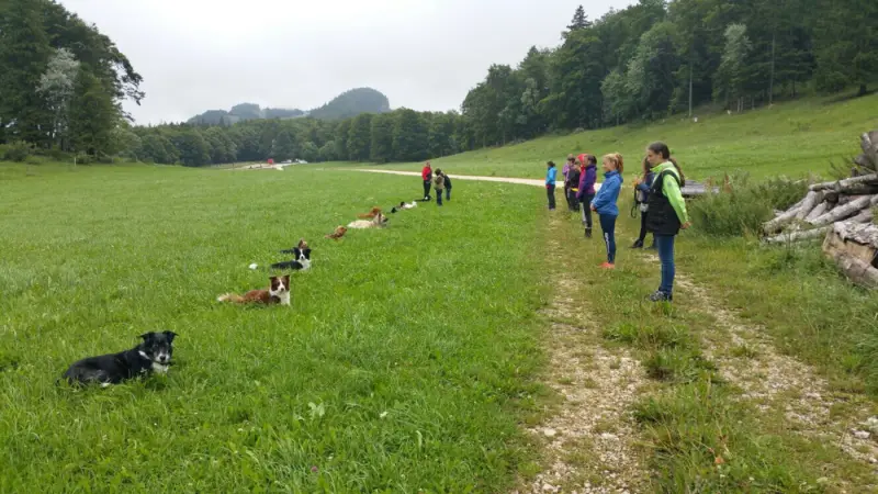 Eine Gruppe von Menschen, die eine unbefestigte Strasse hinuntergehen. – Jugend und Hund Lager 2017 in Balmberg