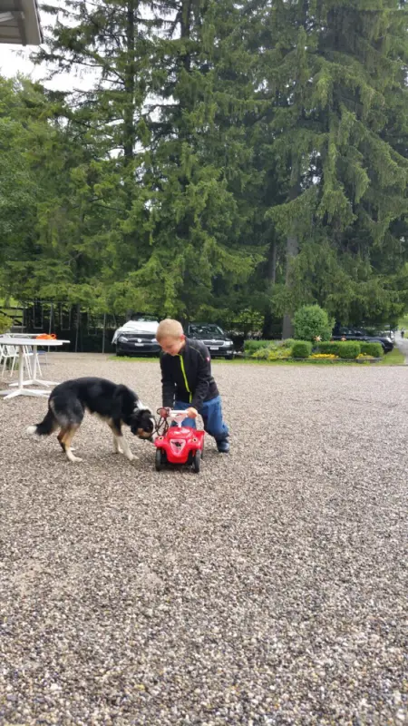 Ein Junge spielt mit einem Hund im Kies. – Jugend und Hund Lager 2017 in Balmberg