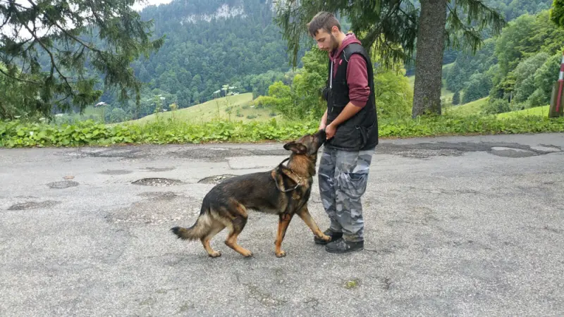 Ein Mann steht neben einem Hund auf einer Strasse. – Jugend und Hund Lager 2017 in Balmberg