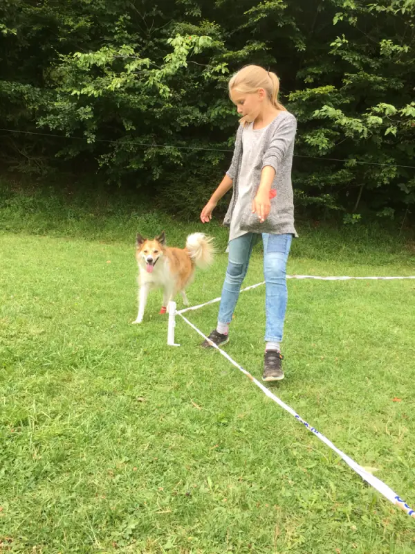 Eine Frau läuft mit einem Hund an der Leine. – Jugend und Hund Lager 2017 in Balmberg