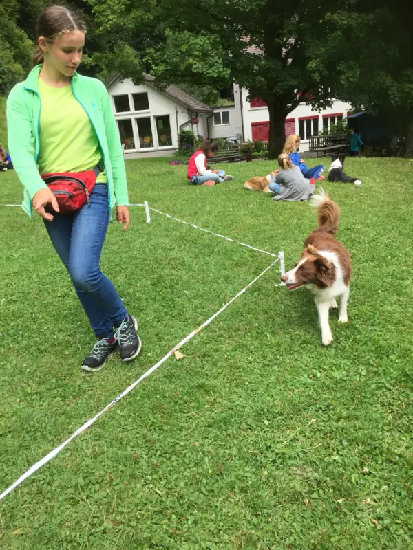 Ein junges Mädchen spielt mit einem Hund. – Jugend und Hund Lager 2017 in Balmberg