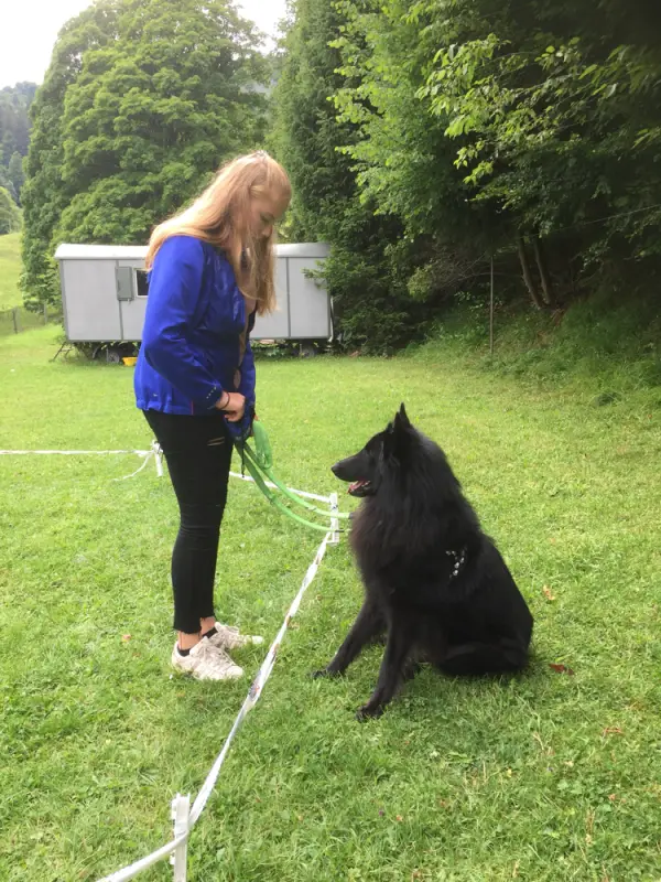 Eine Frau läuft mit einem Hund an der Leine. – Jugend und Hund Lager 2017 in Balmberg