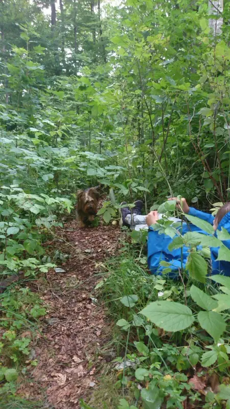 Ein Mann, der mit einem Hund im Wald liegt. – Jugend und Hund Lager 2017 in Balmberg