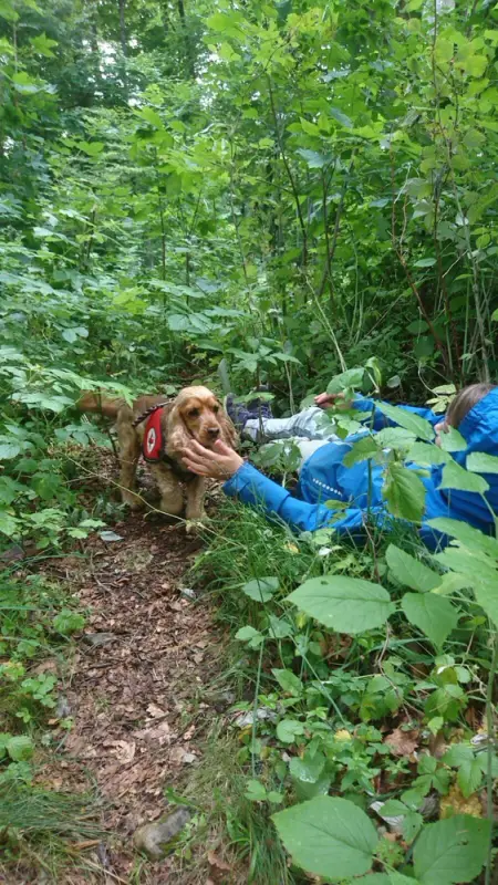 Ein Mann, der mit seinem Hund im Wald liegt. – Jugend und Hund Lager 2017 in Balmberg