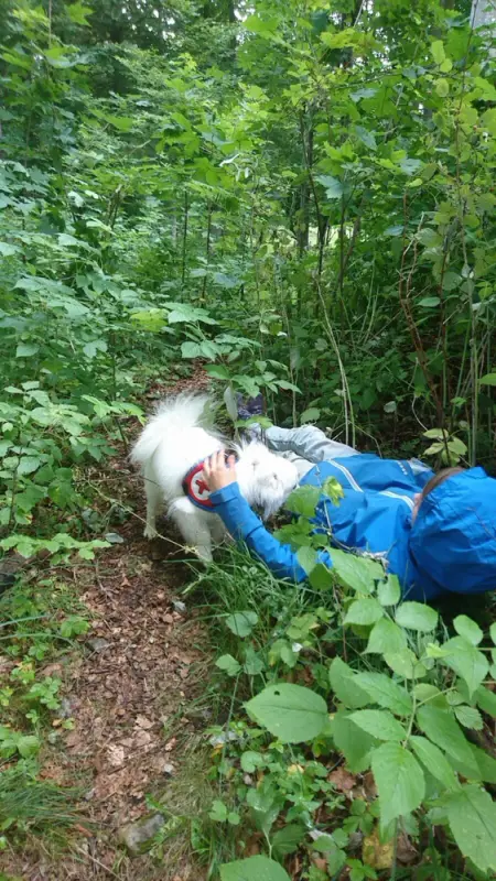 Ein Mann, der mit dem Kopf im Wald liegt. – Jugend und Hund Lager 2017 in Balmberg