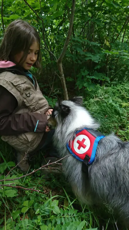 Ein kleines Mädchen streichelt einen kleinen Hund. – Jugend und Hund Lager 2017 in Balmberg