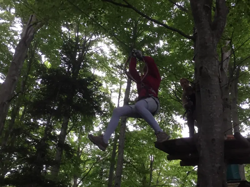Ein Mann in einem roten Hemd klettert auf einen Baum. – Jugend und Hund Lager 2017 in Balmberg