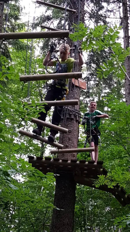 Eine Gruppe von Menschen auf einem Baum. – Jugend und Hund Lager 2017 in Balmberg