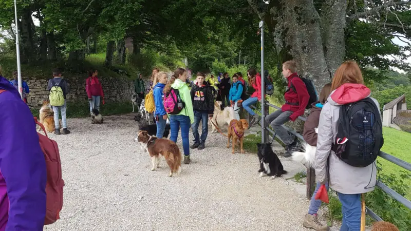 Eine Gruppe von Menschen, die ihre Hunde auf einem Weg gehen. – Jugend und Hund Lager 2017 in Balmberg