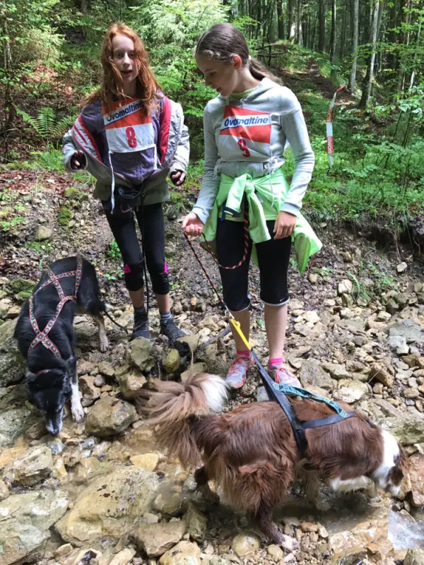 Zwei Mädchen und ein Hund auf einer Spur. – Jugend und Hund Lager 2017 in Balmberg