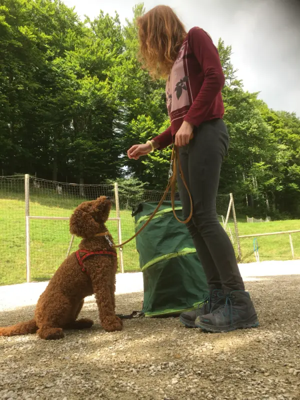 Eine Frau läuft mit einem Hund an der Leine. – Jugend und Hund Lager 2017 in Balmberg