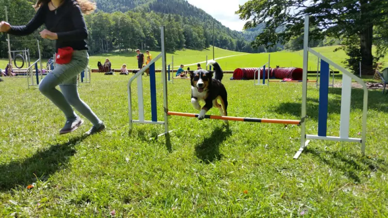 Eine Frau springt mit ihrem Hund über ein Hindernis. – Jugend und Hund Lager 2017 in Balmberg