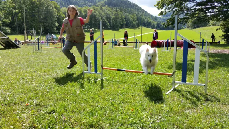 Eine Frau springt mit ihrem Hund über ein Hindernis. – Jugend und Hund Lager 2017 in Balmberg
