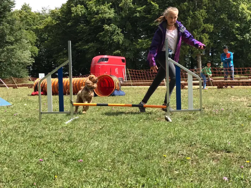 Ein Mädchen spielt mit einem Hund in einem Park. – Jugend und Hund Lager 2017 in Balmberg
