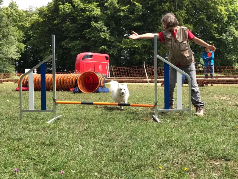 Ein junger Junge spielt mit einem Hund in einem Park. – Jugend und Hund Lager 2017 in Balmberg