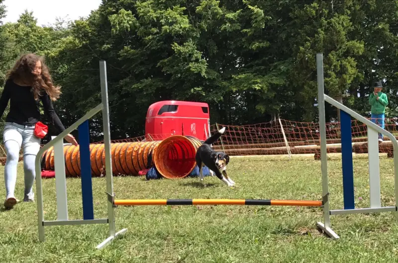 Eine Frau springt über einen Sprung in einem Park. – Jugend und Hund Lager 2017 in Balmberg