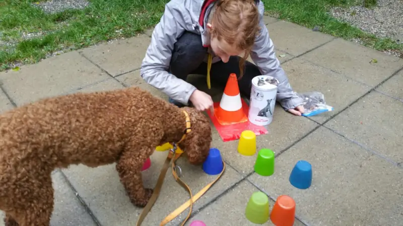 Ein junger Junge spielt mit einem Hund auf einem Bürgersteig. – Jugend und Hund Lager 2017 in Balmberg