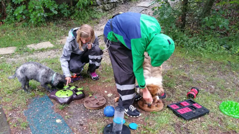 Zwei Menschen und zwei Hunde sind im Wald. – Jugend und Hund Lager 2017 in Balmberg