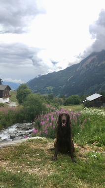 Freitag, 27. Juli 2018 – Jugend und Hund Lager Segnas 2018