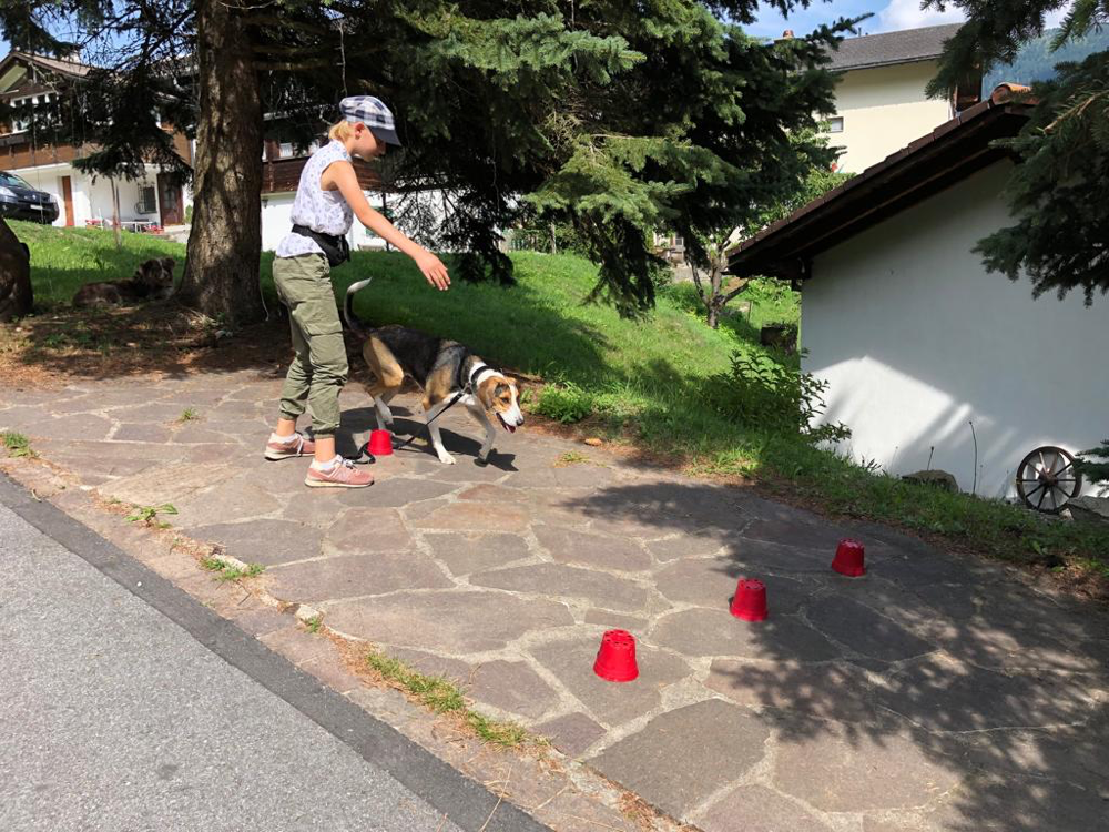 Sonntag, 21. Juli 2019 – Jugend und Hund Lager Segnas 2019