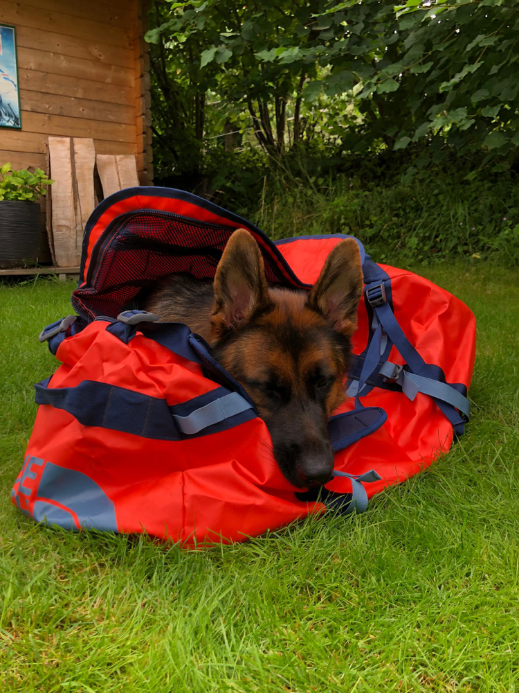 Das grosse Packen – Jugend und Hund Lager Segnas 2021