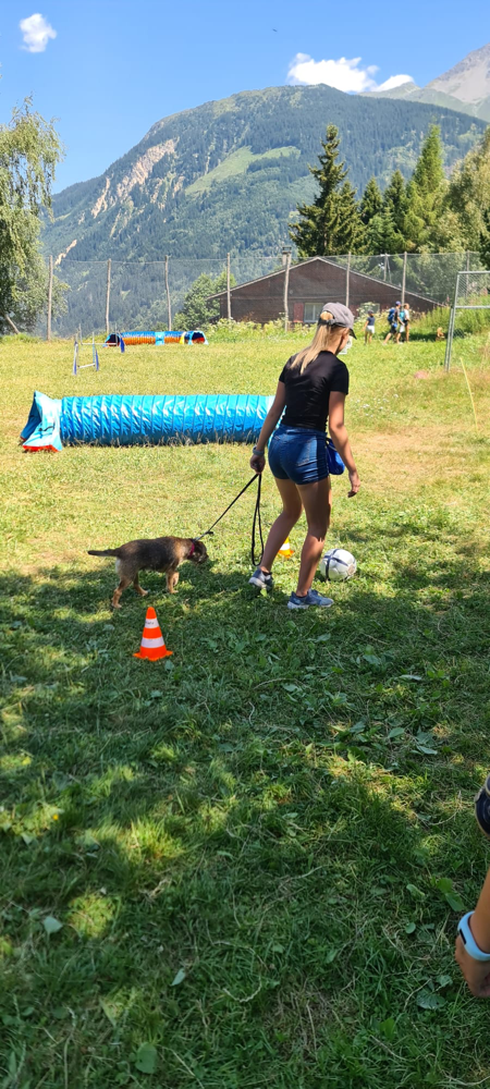 Montag, 18.7.2022 – Jugend und Hund Lager Segnas 2022