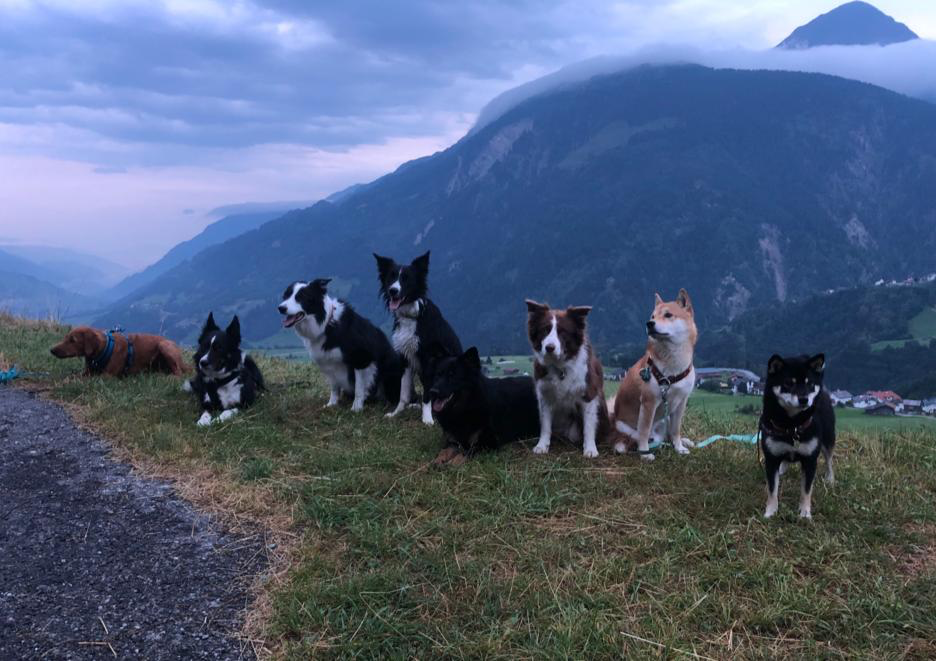 Samstag, 23.7.2022 – Jugend und Hund Lager Segnas 2022