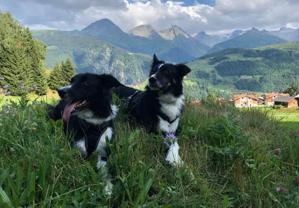 Sonntag, 23. Juli 2023 – Jugend und Hund Lager Segnas 2023