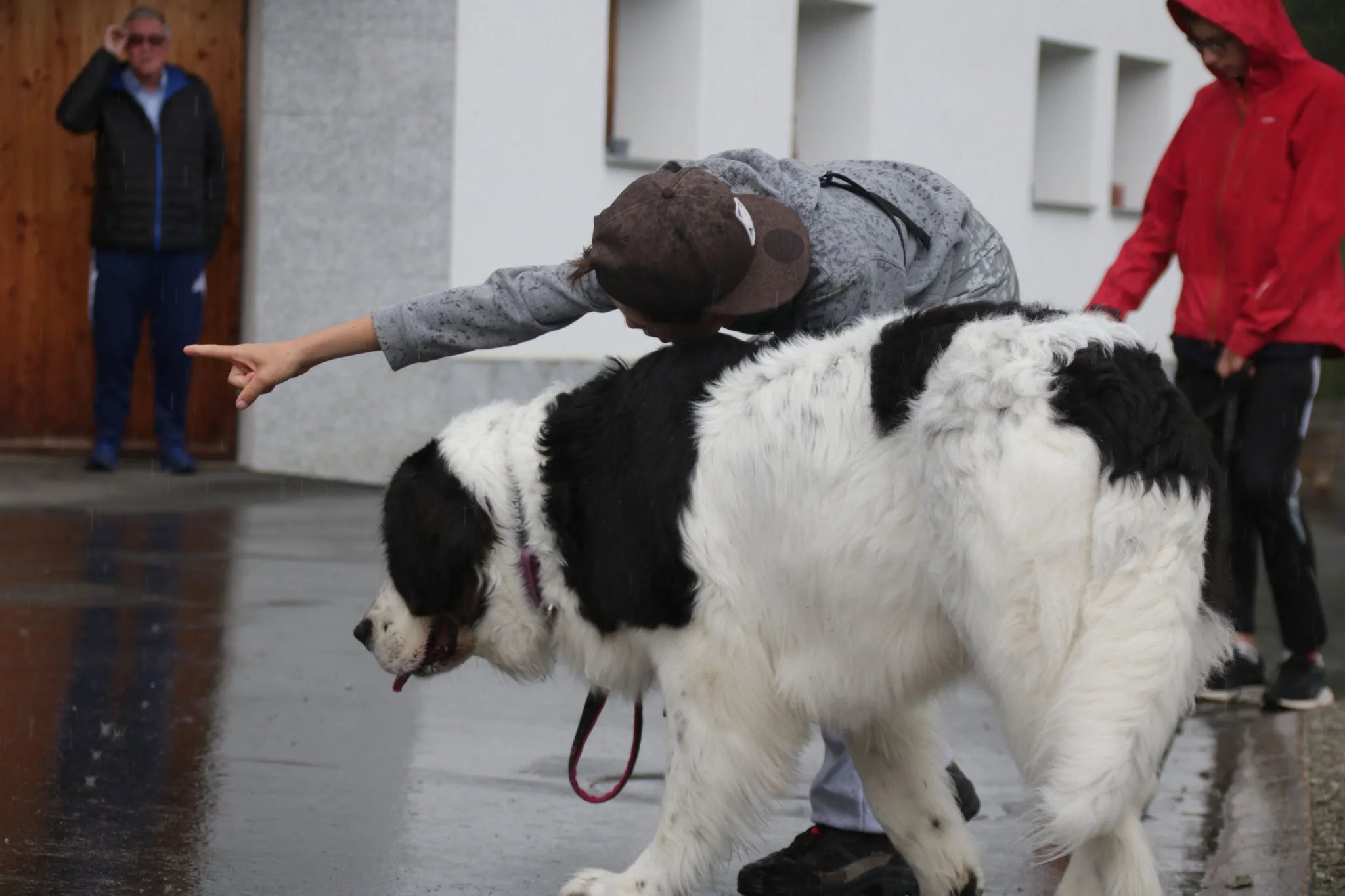 Montag, 24. Juli 2023 – Jugend und Hund Lager Segnas 2023