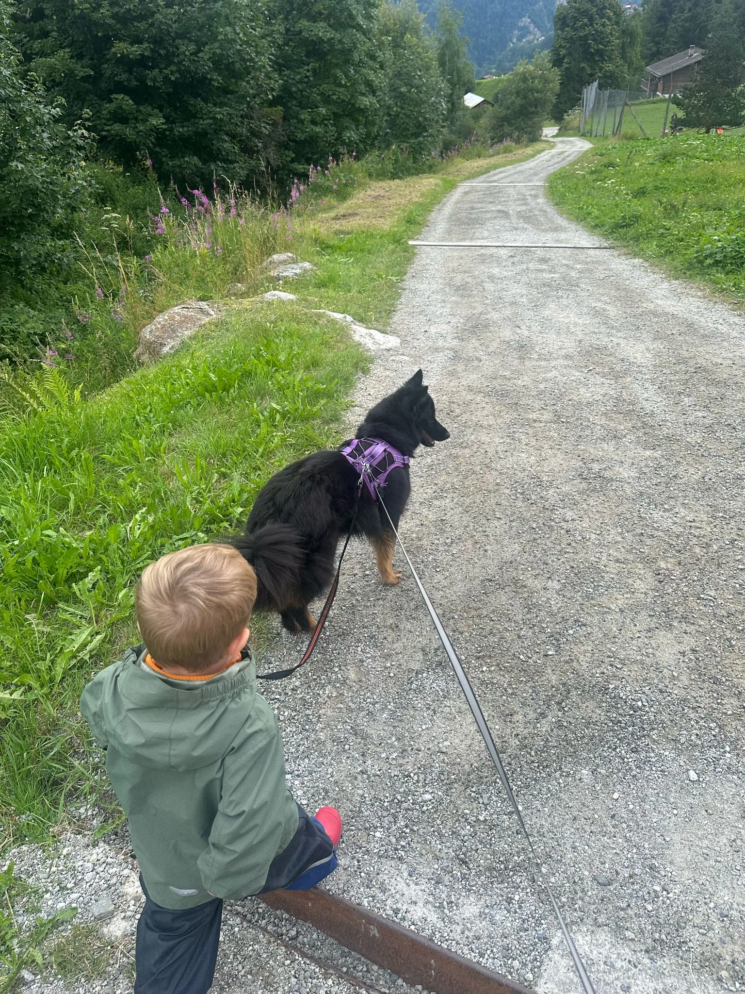 Tag 1 - Ankunft der Teilnehmer:innen ☀️ – Jugend und Hund Lager Segnas 2025