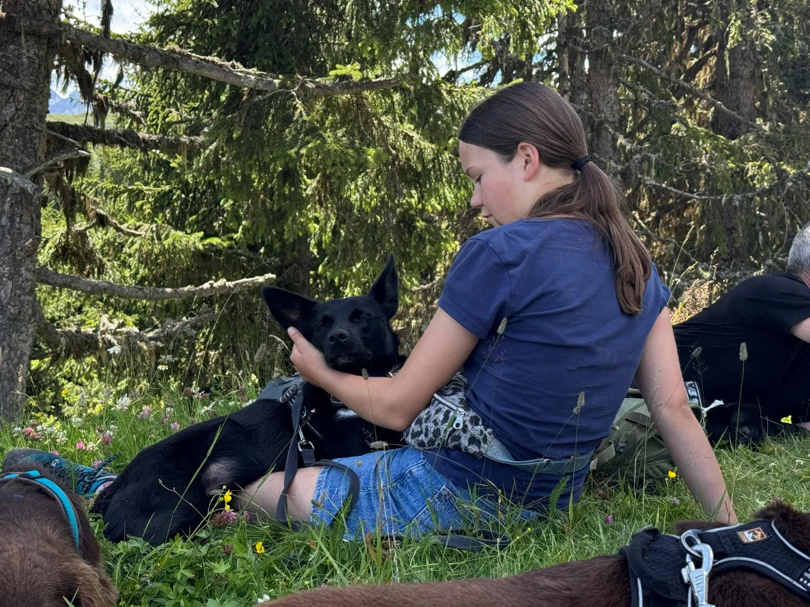 Tag 3 - Wanderung – Jugend und Hund Lager Segnas 2025
