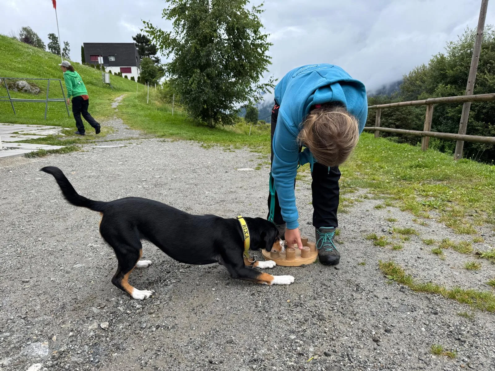 Tag 5 - Gruppenarbeit und Atelier – Jugend und Hund Lager Segnas 2025