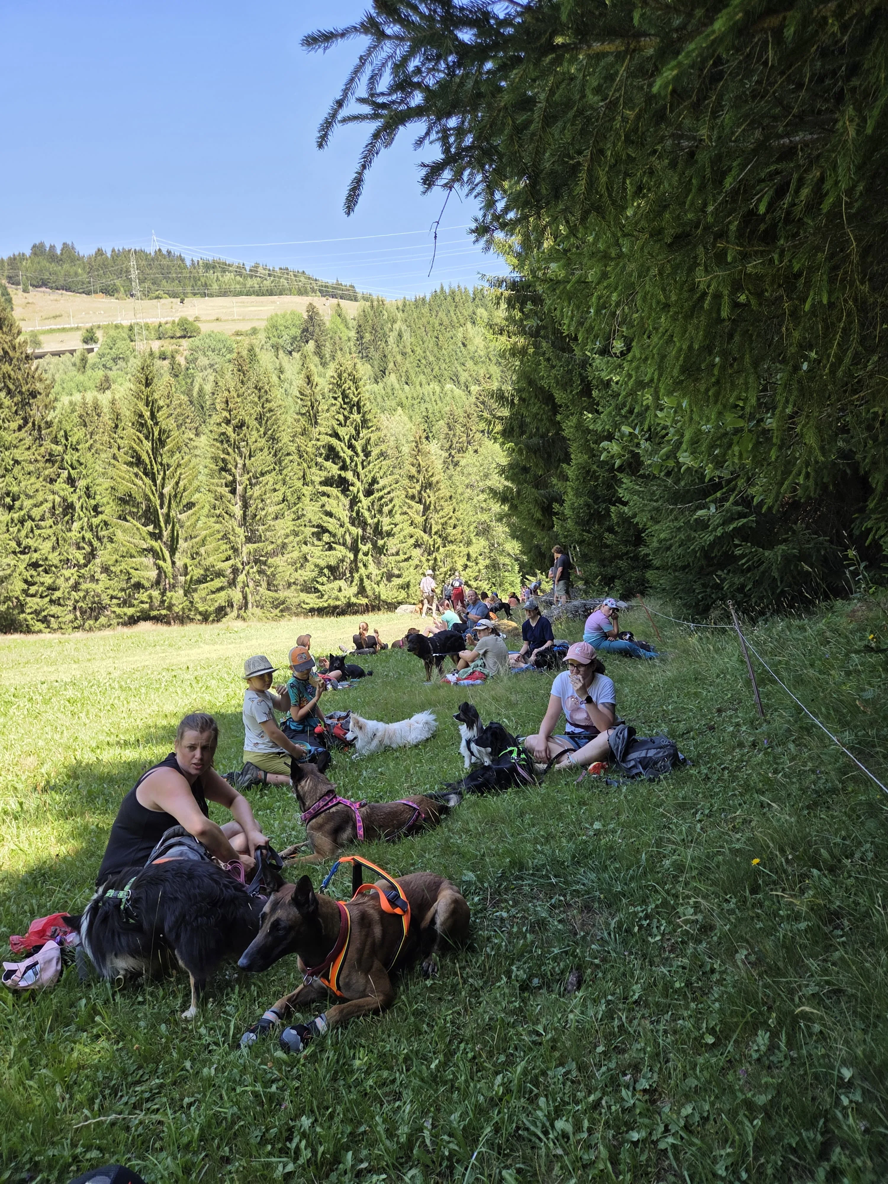 Tag 6 – Jugend und Hund Lager Segnas 2026
