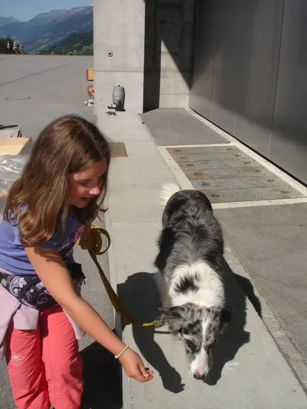Ein junges Mädchen, das einen Hund an einer Leine auf einem Bürgersteig läuft. – Jugend und Hund Lager 2010 in Brigels