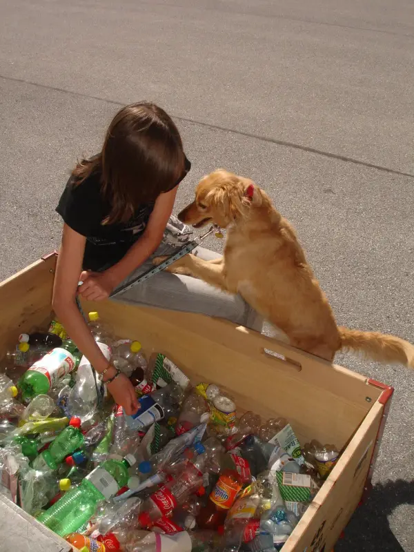 Eine Frau, die ein schwarzes Kleid trägt und in einem Karton mit Flaschen und anderen Gegenständen sitzt, auf dem… Rasse: Golden Retriever. – Jugend und Hund Lager 2010 in Brigels