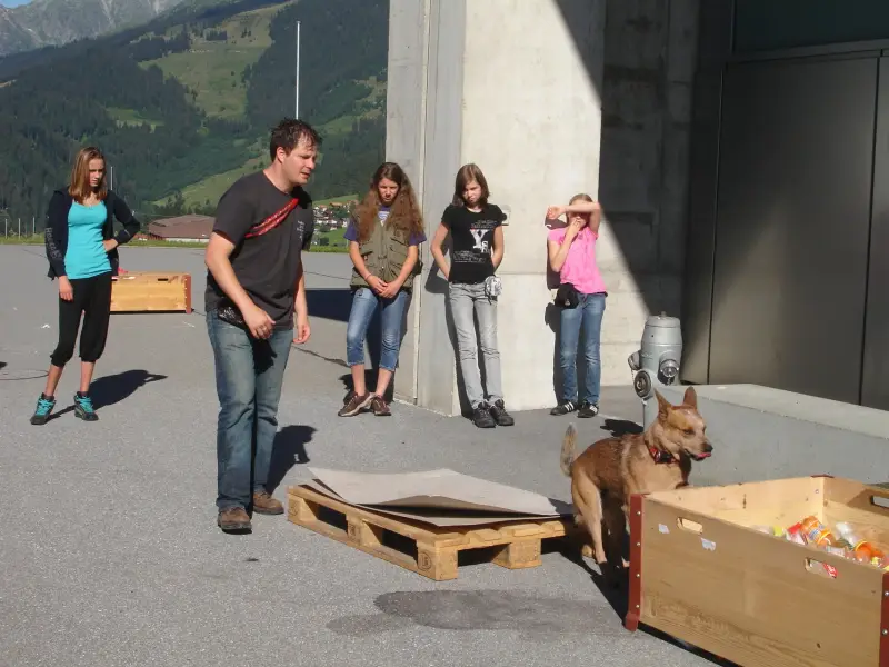 Eine Gruppe von Menschen, die auf einem Parkplatz um einen Hund herum stehen. Rasse: Australian Catlle Dog. – Jugend und Hund Lager 2010 in Brigels