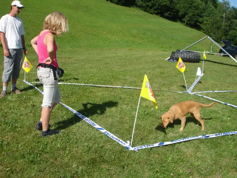 Das Bild zeigt einen Mann und eine Frau, die auf einem Feld mit einem Hund stehen. – Jugend und Hund Lager 2010 in Brigels
