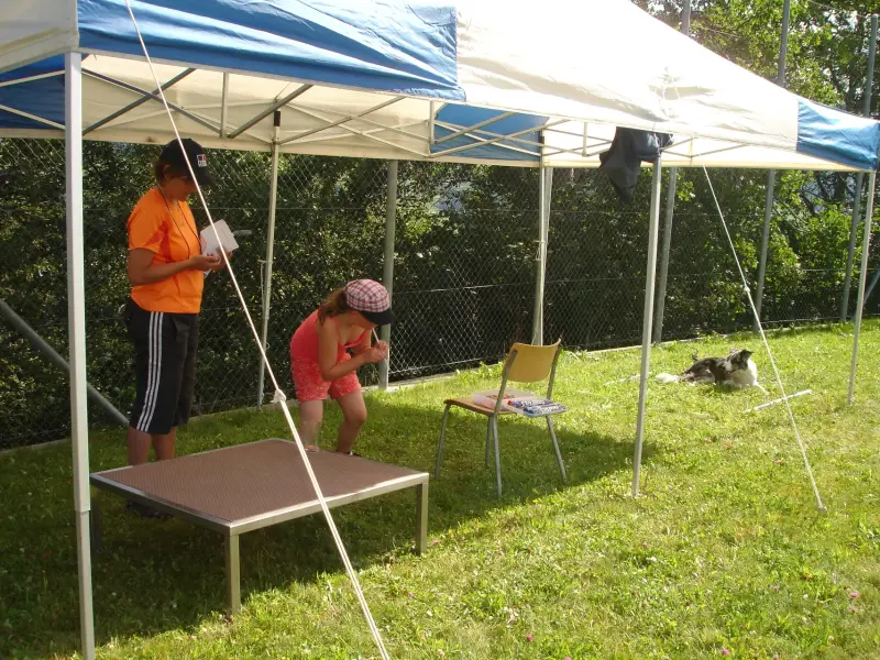 Das Bild zeigt einen Mann und eine Frau, die unter einem blau-weissen Zelt in einem grasigen Bereich stehen. Rasse: Cardigan Welsh Corgi. – Jugend und Hund Lager 2010 in Brigels