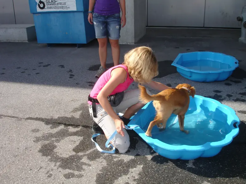 Eine Frau in einem rosa Hemd und eine graue Hose, die mit einem braunen Hund in einer blauen Wanne spielt. Rasse: Golden Retriever. – Jugend und Hund Lager 2010 in Brigels