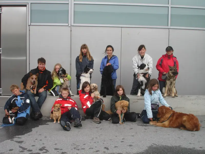 Eine Gruppe von Menschen, die mit ihren Hunden auf dem Boden sitzen, von denen einige… Rassen: Golden Retriever, Australian Catlle Dog. – Jugend und Hund Lager 2010 in Brigels