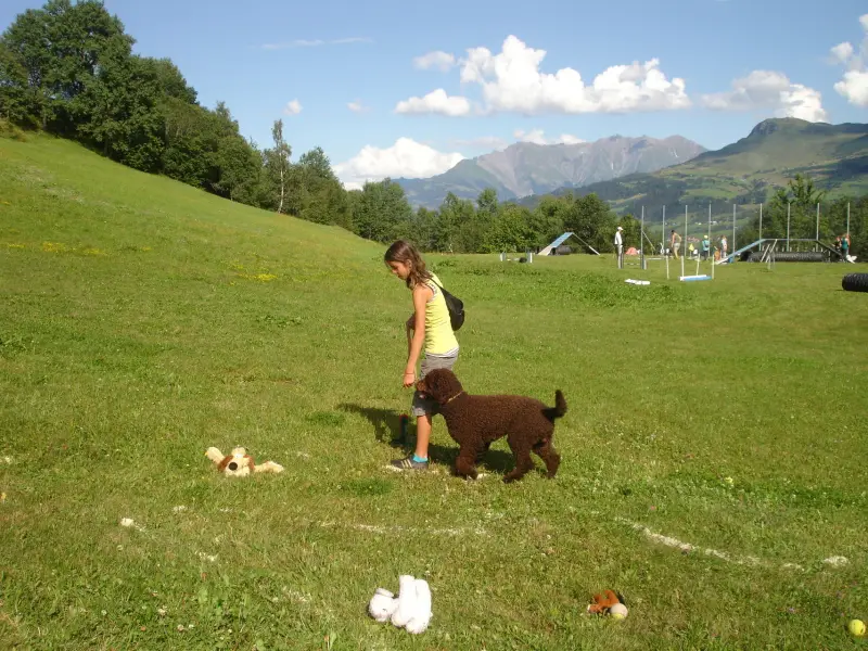 Eine Frau, die einen braunen Hund auf einem Feld läuft, umgeben von einer Gruppe von Menschen, Bäumen, Hügeln… Rasse: Irish Water Spaniel. – Jugend und Hund Lager 2010 in Brigels