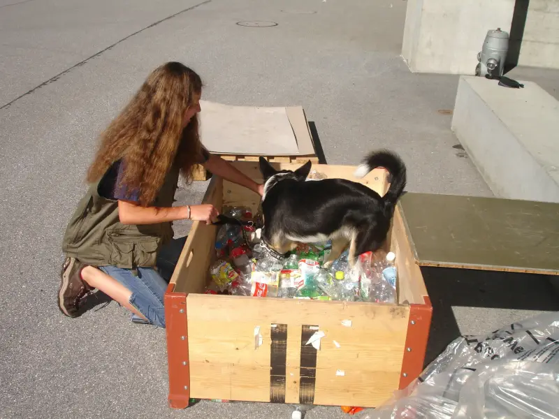 Eine Frau, die sich neben einem schwarz-weissen Hund in einer mit Flaschen gefüllten Holzkiste niederkniet. Rasse: Deutscher Schäferhund. – Jugend und Hund Lager 2010 in Brigels