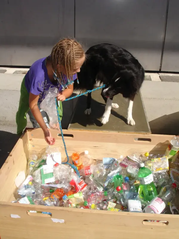 Ein junges Mädchen und ihren Hund stehen neben einer Holzkiste mit Plastikflaschen gefüllt. Rasse: Border Collie. – Jugend und Hund Lager 2010 in Brigels