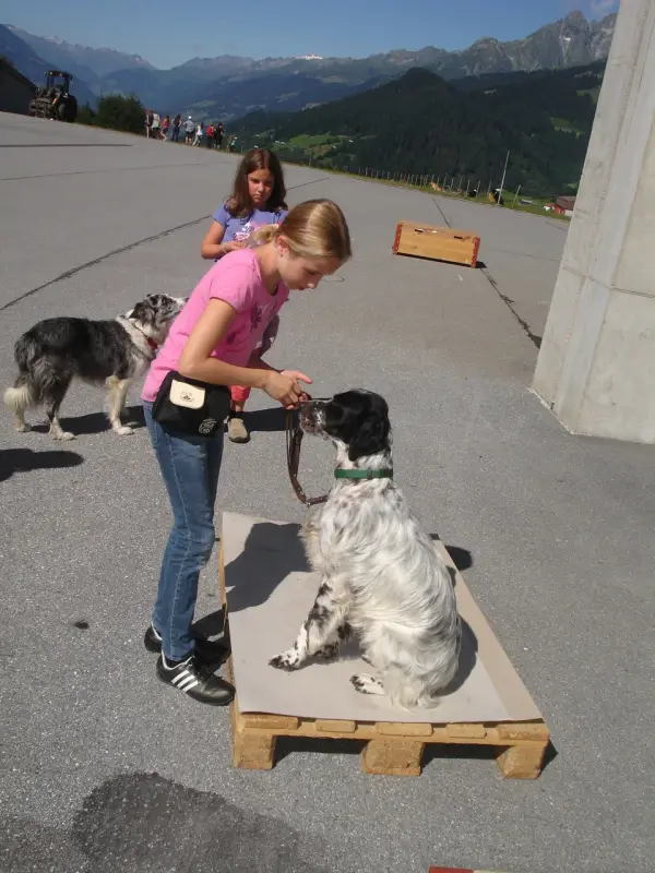 Zwei junge Mädchen, die auf einer Holzpalette stehen und auf der zwei Hunde stehen. Rassen: English Setter, Barsoi. – Jugend und Hund Lager 2010 in Brigels