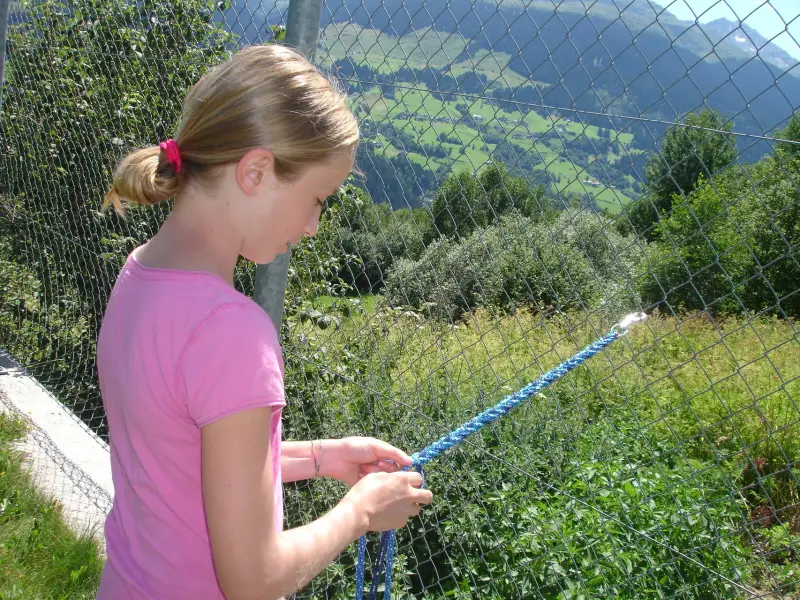 Ein junges Mädchen in einem rosa Hemd mit einem blauen Seil, das vor einem Zaun mit Pflanzen und Bäumen im Hintergrund und einem klaren… – Jugend und Hund Lager 2010 in Brigels