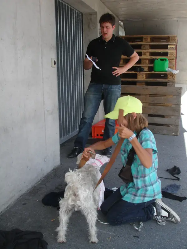 Das Bild zeigt einen Mann und eine Frau, die mit einem kleinen weissen Hund auf dem Boden sitzen. Rasse: Zwergschnauzer. – Jugend und Hund Lager 2010 in Brigels