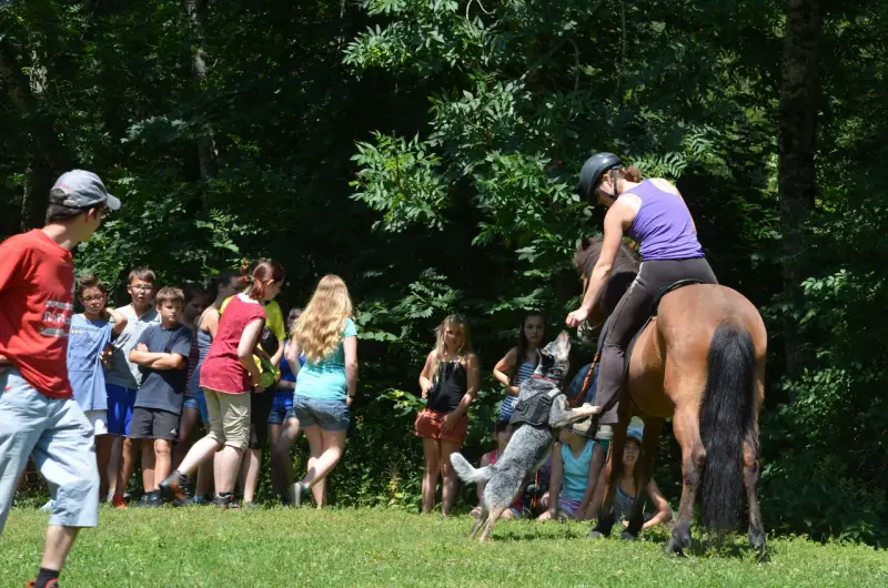 Eine Frau, die ein Pferd auf einem Feld reitet. – Jugend und Hund Lager 2013 in Chur