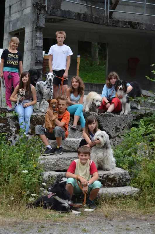 Eine Gruppe von Kindern und Hunden, die auf einem Felsen sitzen. – Jugend und Hund Lager 2013 in Chur