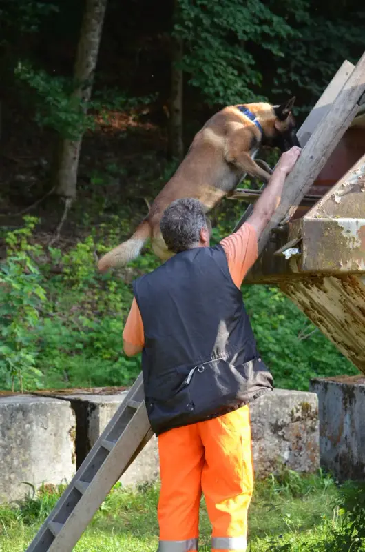 Ein Mann in orangen Hosen und ein schwarzer Rucksack klettert auf eine Holzstruktur. – Jugend und Hund Lager 2013 in Chur