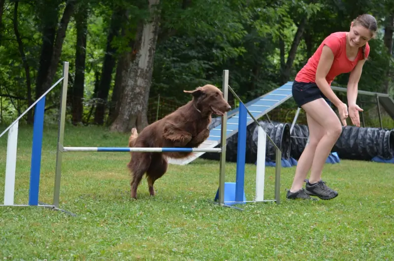 Eine Frau spielt mit einem Hund in einem Park. – Jugend und Hund Lager 2013 in Chur